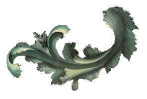 acanthus-leaf-right